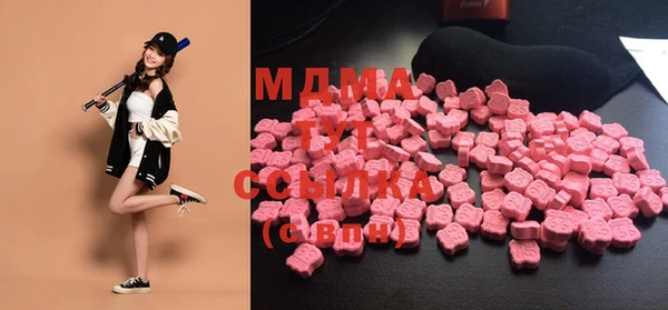 хмурый Абаза