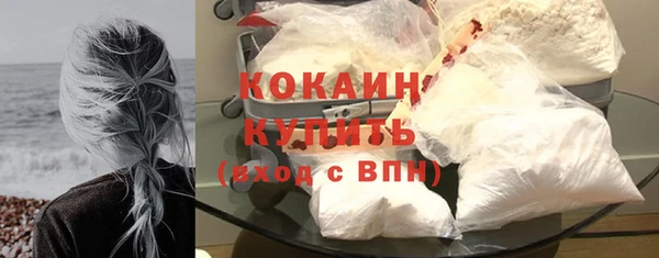 хмурый Абаза
