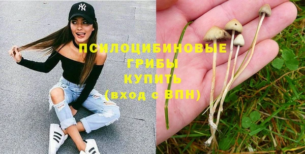 хмурый Абаза