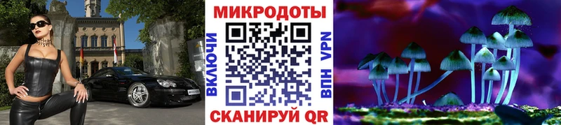 Галлюциногенные грибы Magic Shrooms продажа наркотиков Кимовск