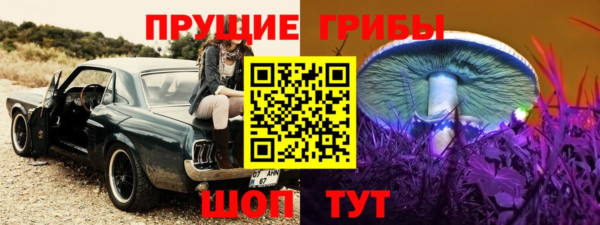 Псилоцибиновые грибы Psilocybe Кимовск